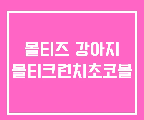 몰티즈 강아지 몰티크런치초코볼