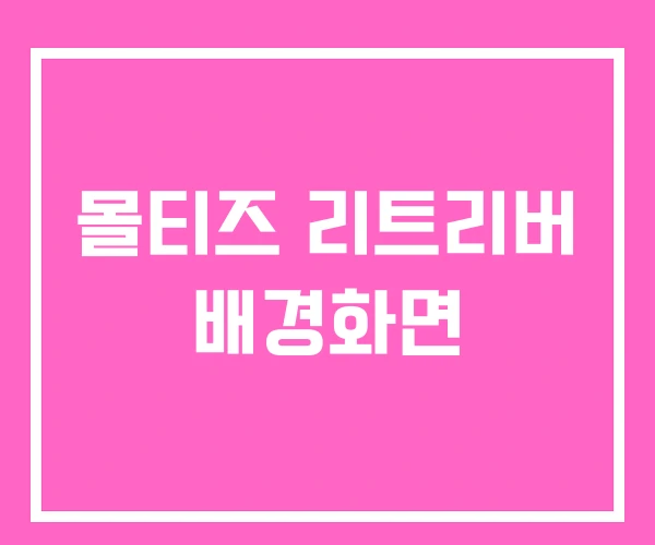 몰티즈 리트리버 배경화면 몰티즈 리트리버 배경화면
