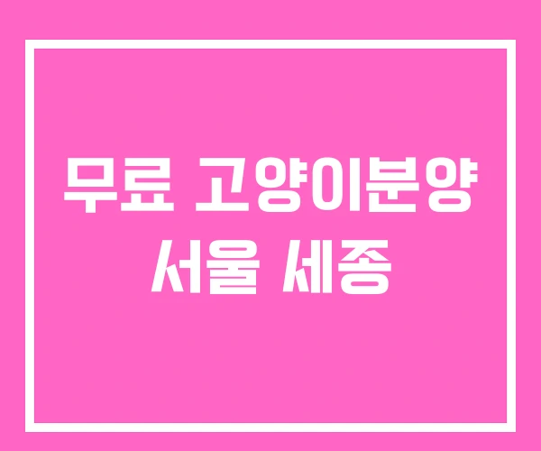 무료 고양이분양 서울 세종 무료 고양이분양 서울 세종