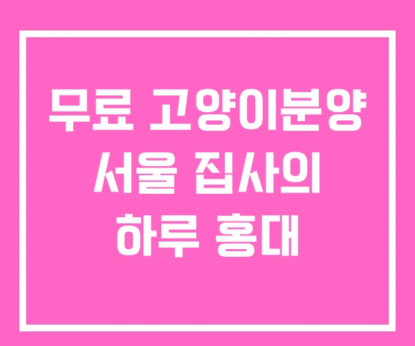 무료 고양이분양 서울 집사의 하루 홍대 무료 고양이분양 서울 집사의 하루 홍대