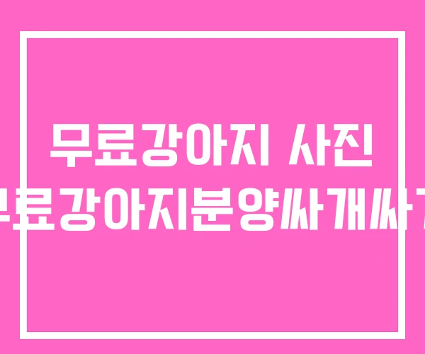 무료강아지 사진 무료강아지분양싸개싸개 무료강아지 사진 무료강아지분양싸개싸개