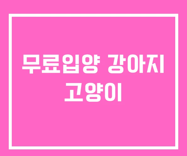 무료입양 강아지 고양이 무료입양 강아지 고양이
