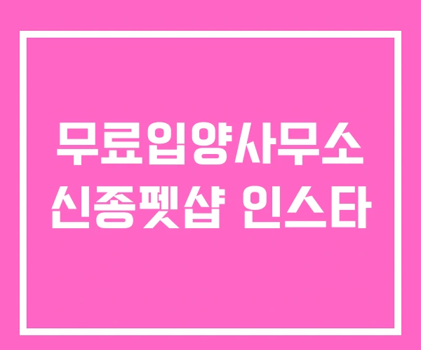 무료입양사무소 신종펫샵 인스타
