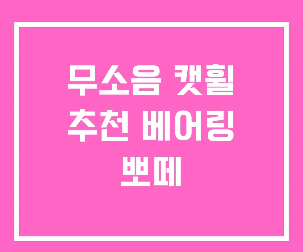 무소음 캣휠 추천 베어링 뽀떼 무소음 캣휠 추천 베어링 뽀떼