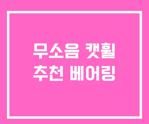 무소음 캣휠 추천 베어링