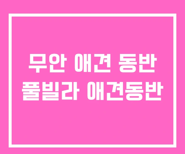 무안 애견 동반 풀빌라 애견동반 무안 애견 동반 풀빌라 애견동반