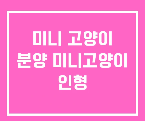 미니 고양이 분양 미니고양이 인형