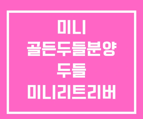 미니 골든두들분양 두들 미니리트리버