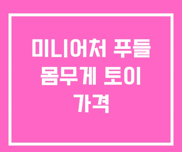 미니어처 푸들 몸무게 토이 가격