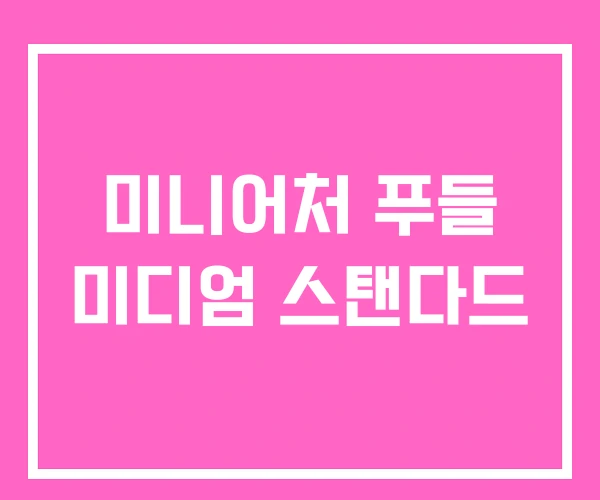 미니어처 푸들 미디엄 스탠다드