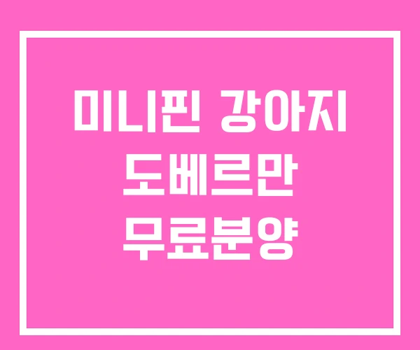 미니핀 강아지 도베르만 무료분양 미니핀 강아지 도베르만 무료분양