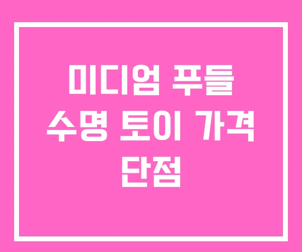 미디엄 푸들 수명 토이 가격 단점