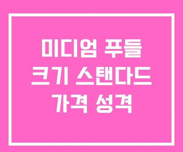 미디엄 푸들 크기 스탠다드 가격 성격