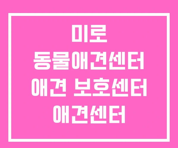 미로 동물애견센터 애견 보호센터 애견센터