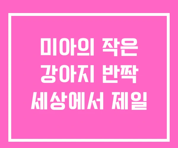미아의 작은 강아지 반짝 세상에서 제일