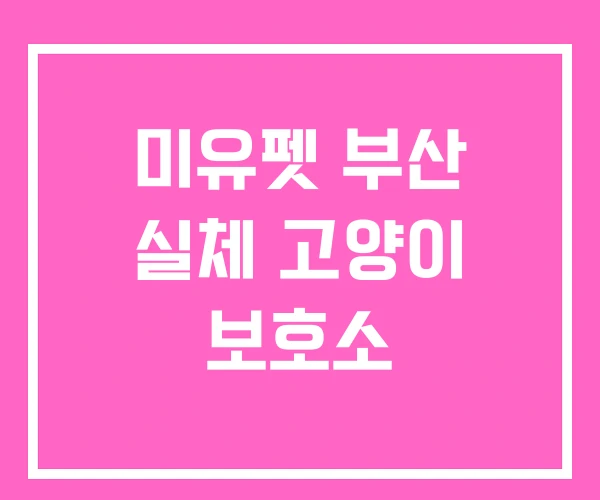 미유펫 부산 실체 고양이 보호소