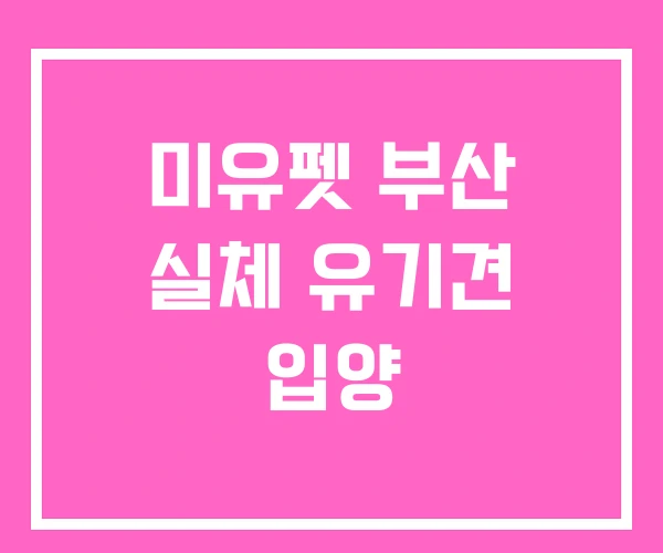 미유펫 부산 실체 유기견 입양