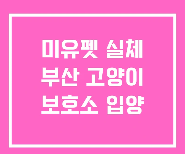 미유펫 실체 부산 고양이 보호소 입양 미유펫 실체 부산 고양이 보호소 입양