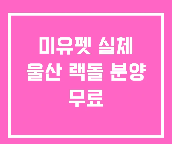 미유펫 실체 울산 랙돌 분양 무료