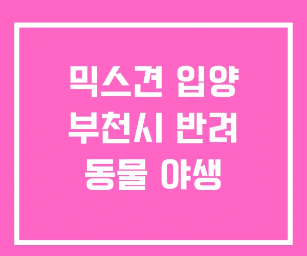 믹스견 입양 부천시 반려 동물 야생 믹스견 입양 부천시 반려 동물 야생