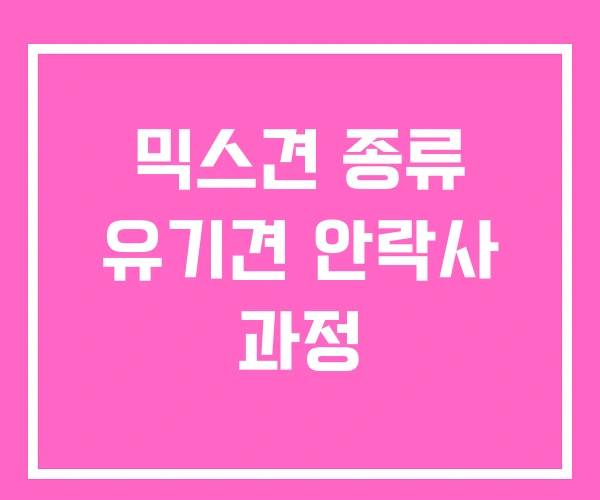 믹스견 종류 유기견 안락사 과정 믹스견 종류 유기견 안락사 과정