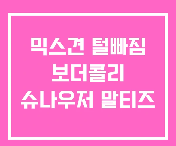 믹스견 털빠짐 보더콜리 슈나우저 말티즈
