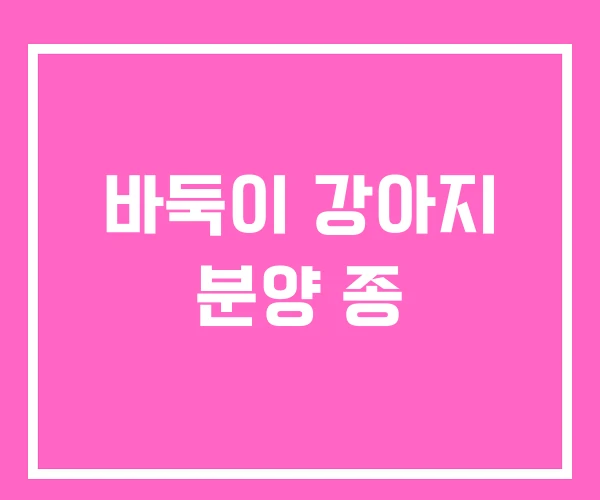 바둑이 강아지 분양 종