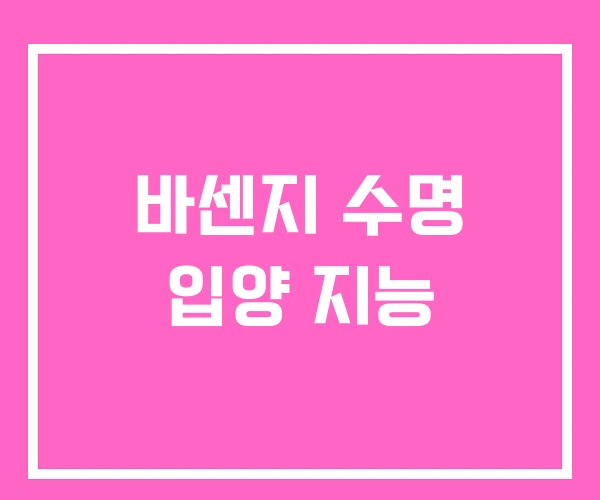 바센지 수명 입양 지능 바센지 수명 입양 지능