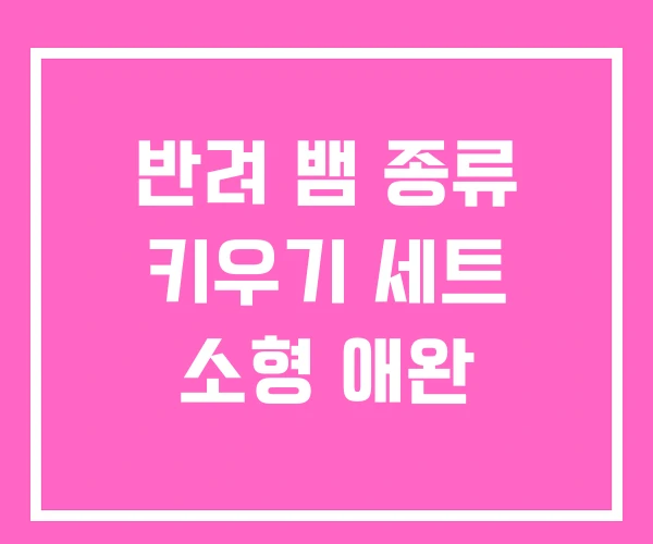 반려 뱀 종류 키우기 세트 소형 애완