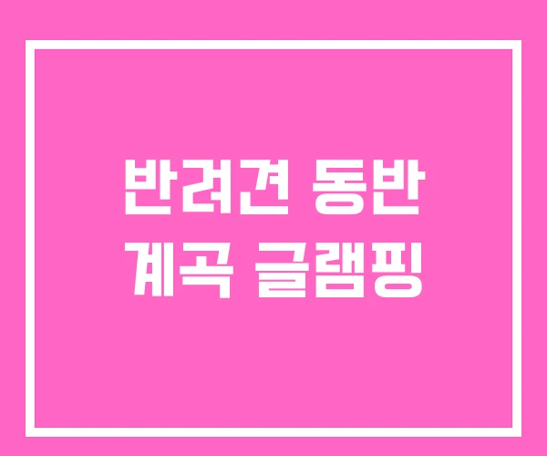 반려견 동반 계곡 글램핑