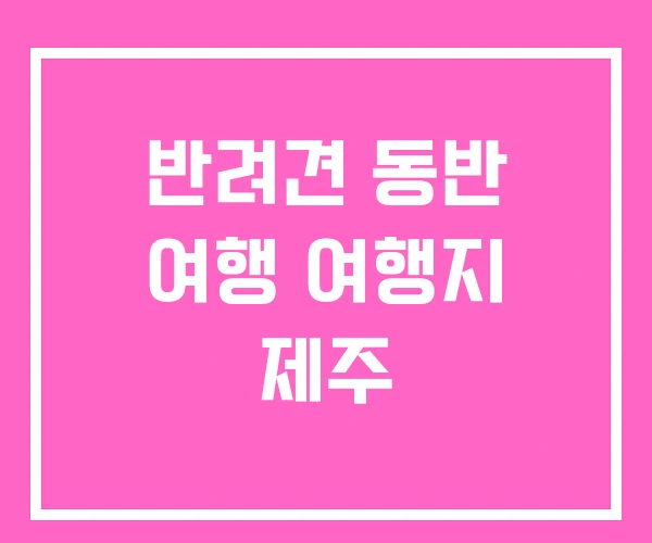 반려견 동반 여행 여행지 제주