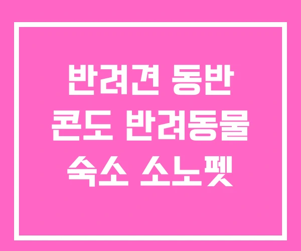 반려견 동반 콘도 반려동물 숙소 소노펫 반려견 동반 콘도 반려동물 숙소 소노펫