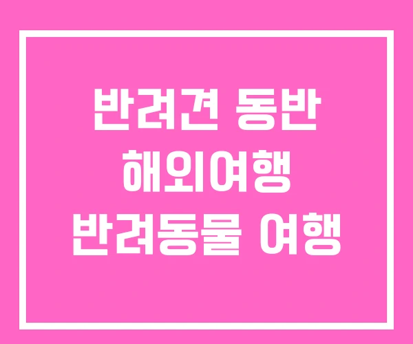 반려견 동반 해외여행 반려동물 여행