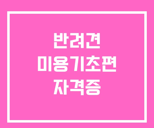 반려견 미용기초편 자격증 반려견 미용기초편 자격증