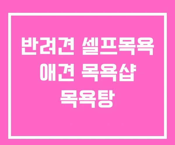 반려견 셀프목욕 애견 목욕샵 목욕탕
