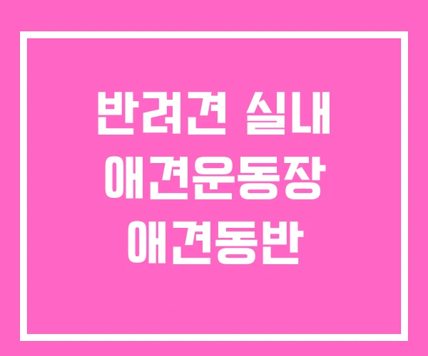반려견 실내 애견운동장 애견동반