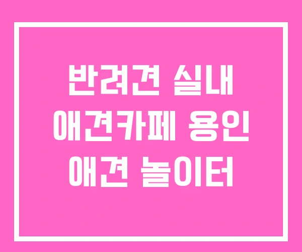 반려견 실내 애견카페 용인 애견 놀이터
