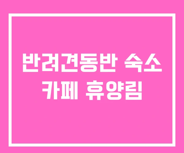 반려견동반 숙소 카페 휴양림 반려견동반 숙소 카페 휴양림