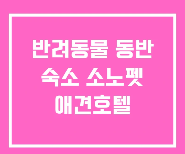 반려동물 동반 숙소 소노펫 애견호텔 반려동물 동반 숙소 소노펫 애견호텔