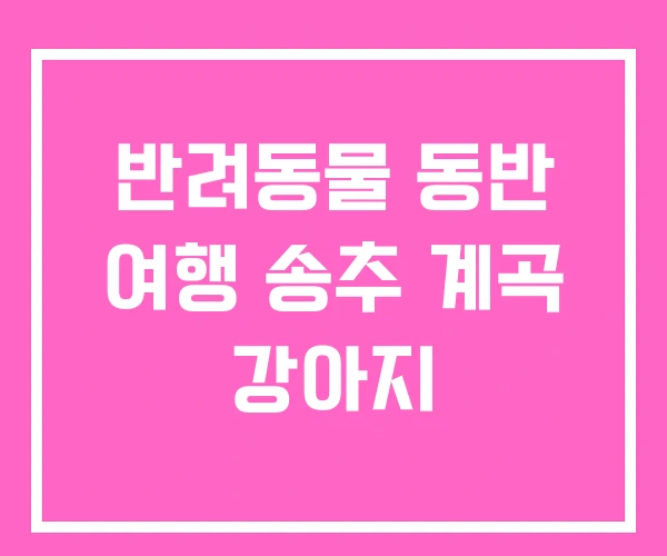 반려동물 동반 여행 송추 계곡 강아지 반려동물 동반 여행 송추 계곡 강아지