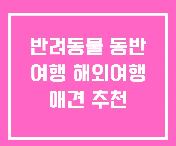 반려동물 동반 여행 해외여행 애견 추천