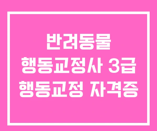 반려동물 행동교정사 3급 행동교정 자격증