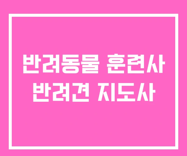 반려동물 훈련사 반려견 지도사