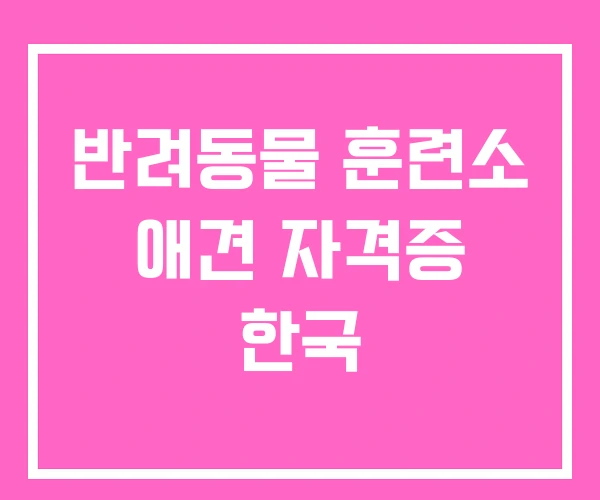 반려동물 훈련소 애견 자격증 한국