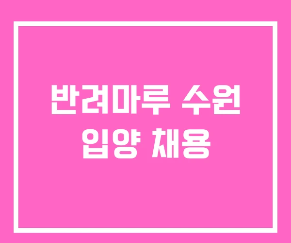 반려마루 수원 입양 채용 반려마루 수원 입양 채용