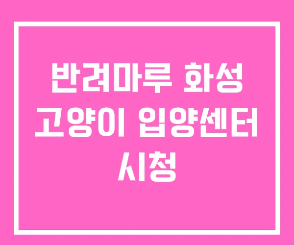 반려마루 화성 고양이 입양센터 시청