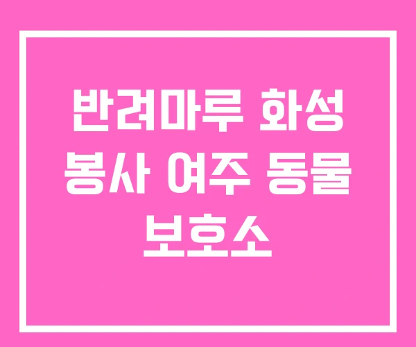 반려마루 화성 봉사 여주 동물 보호소