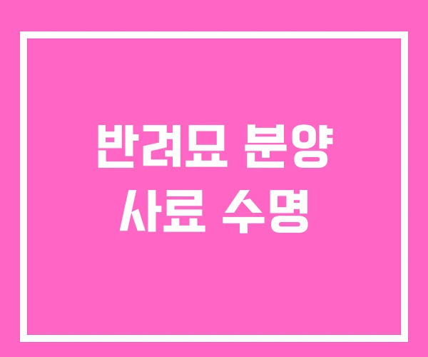 반려묘 분양 사료 수명