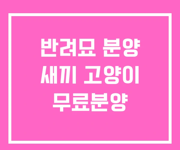 반려묘 분양 새끼 고양이 무료분양 반려묘 분양 새끼 고양이 무료분양