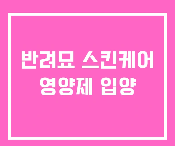 반려묘 스킨케어 영양제 입양 반려묘 스킨케어 영양제 입양